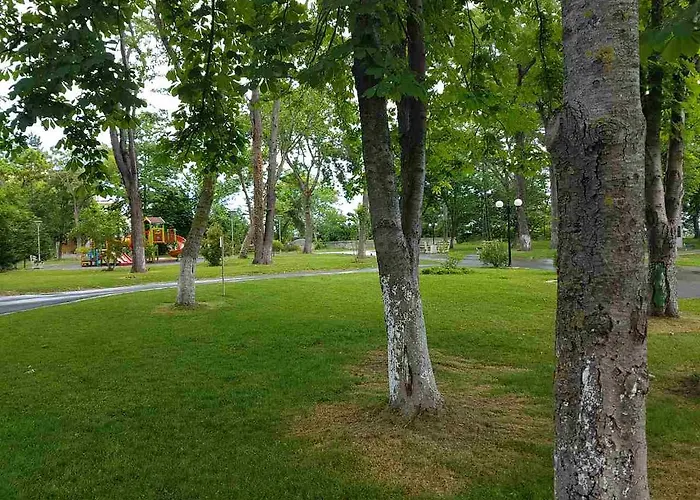 Appart hôtel Salena